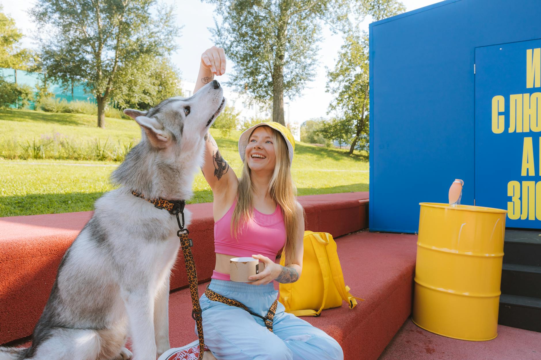 Smiling woman feeds Siberian Husky on sunny day, enjoying time outdoors on colorful steps.