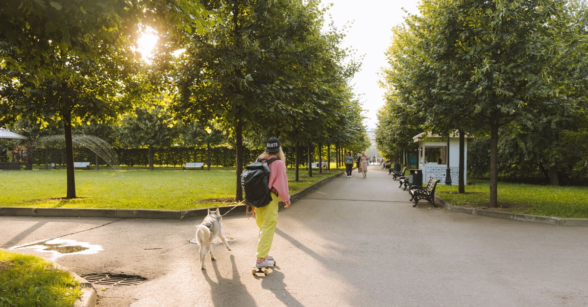 Building a Pet-Friendly Community: Key Steps to Follow