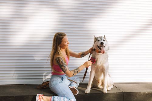 Free Young woman in pink top grooming her Siberian Husky dog outdoors. Stock Photo