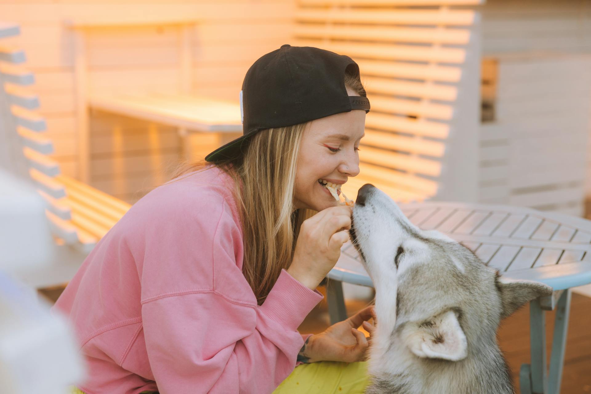 En kvinna äter tillsammans med sin sibiriska husky