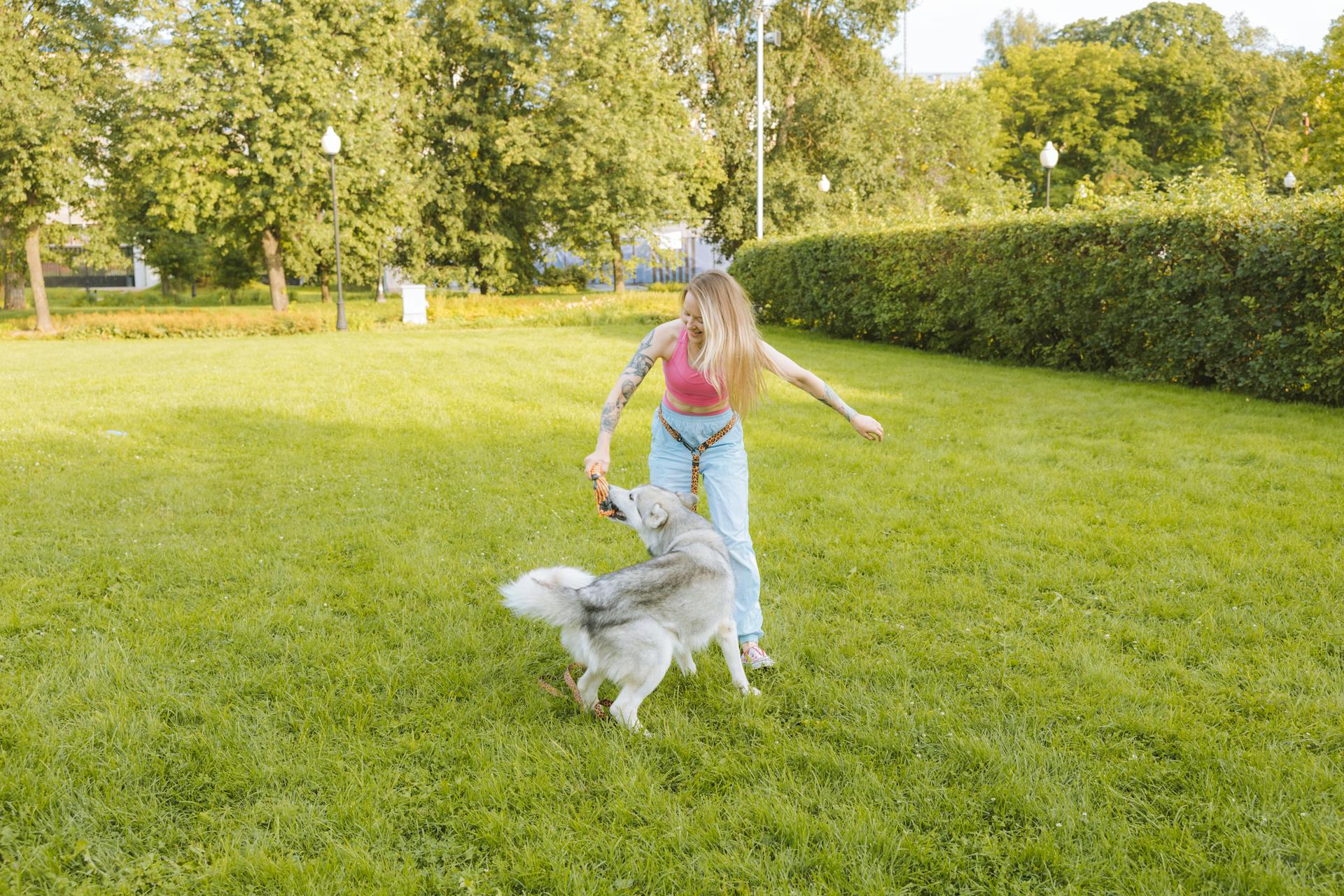 Kvinna leker med sin sibiriska husky