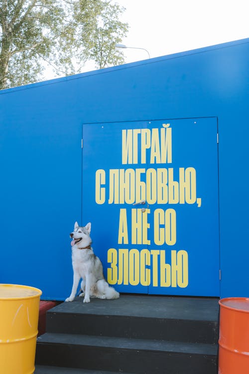 Dog Guarding a Blue Door with a Slogan