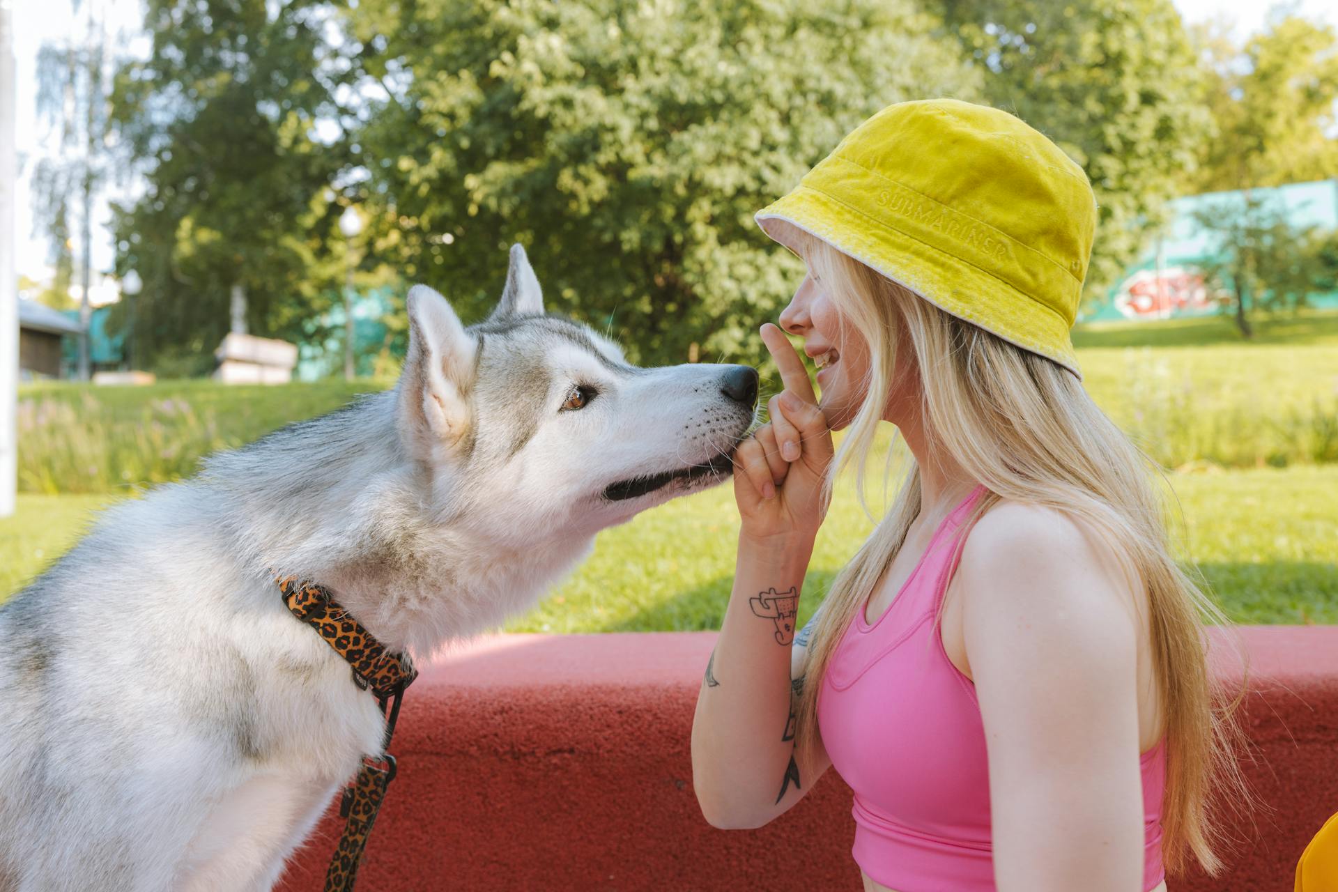 En kvinna som tränar sin hund