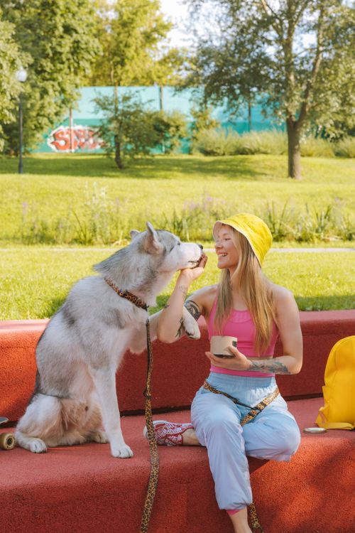 Free A woman in a pink top and yellow hat sits in a park enjoying time with her husky dog. Stock Photo