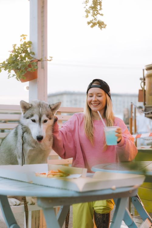 Free A woman pets a Husky while enjoying a drink at an outdoor cafe. Perfect lifestyle moment. Stock Photo
