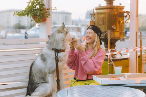Free A joyful moment of a woman sharing pizza with her husky dog at an outdoor café. Stock Photo