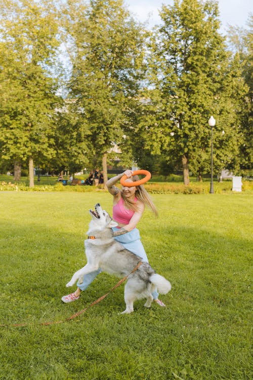 Kostenloses Stock Foto zu ausbildung hund, frau, gras