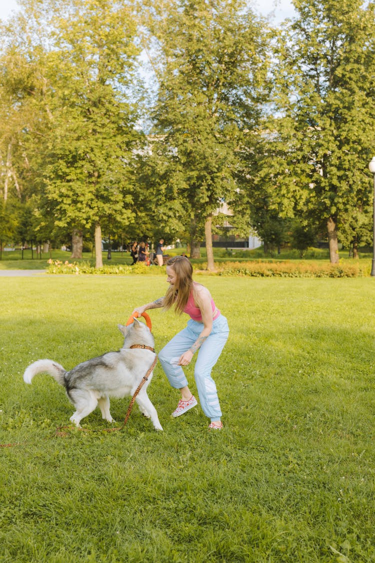 Woman In The Park Playing With Her Dog 