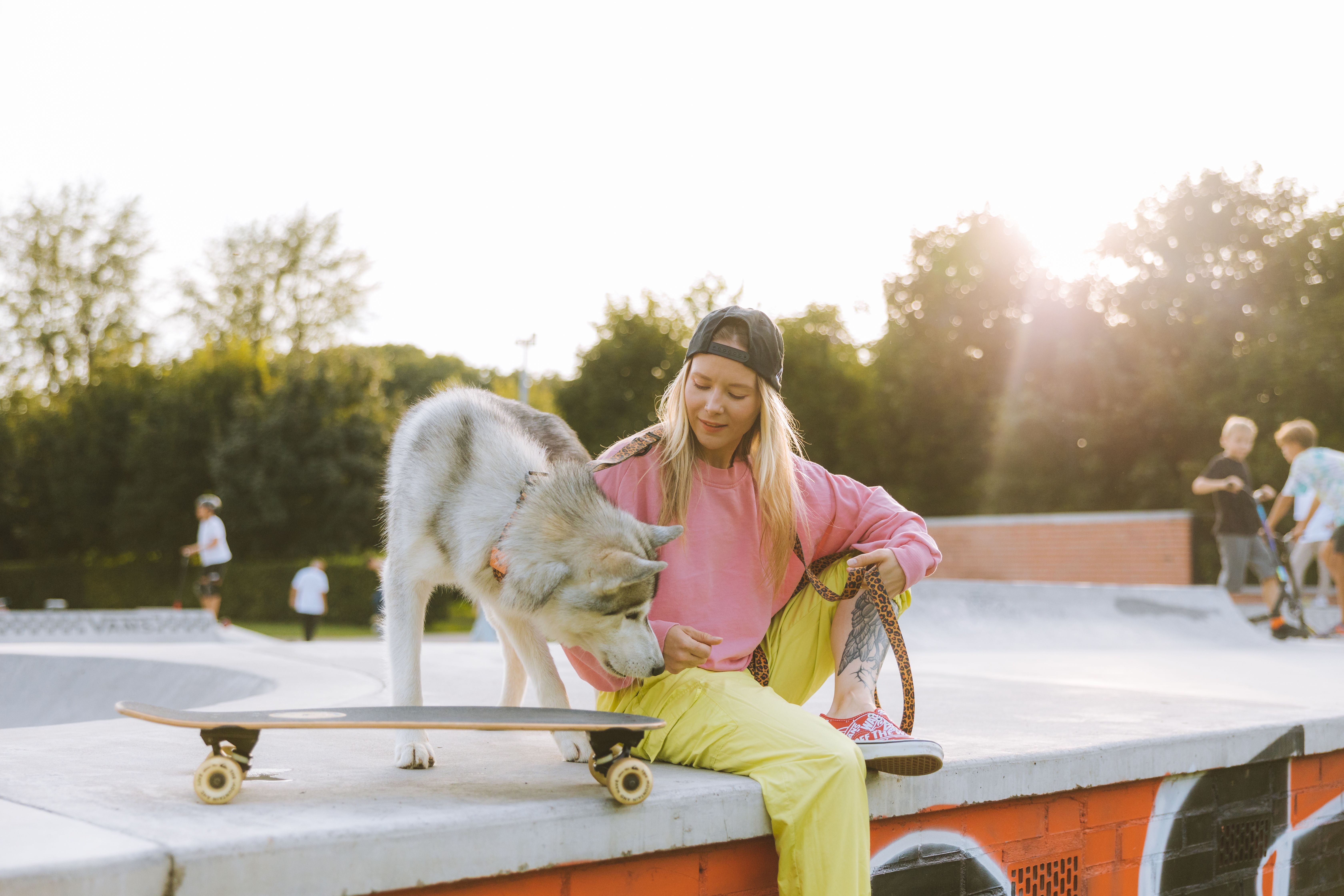 pet lifestyle store — Photo by Yaroslav Shuraev on Pexels