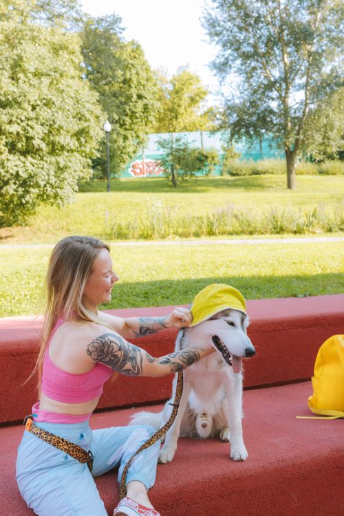 Free A woman in a pink tank top plays with a Siberian husky on a red bench in a sunny park. Stock Photo