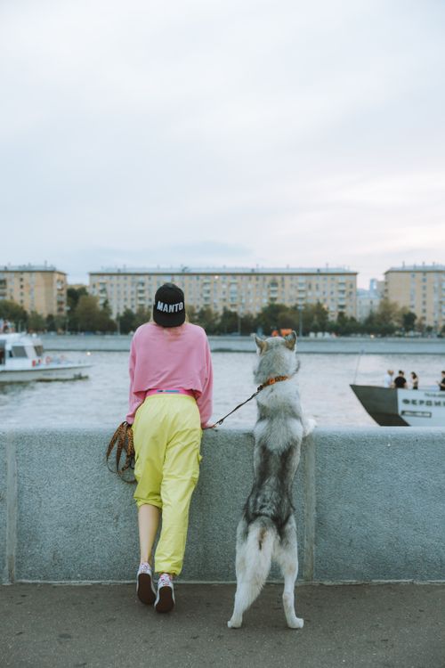 Free A person in casual attire with a Siberian Husky observes the river scenery. Stock Photo