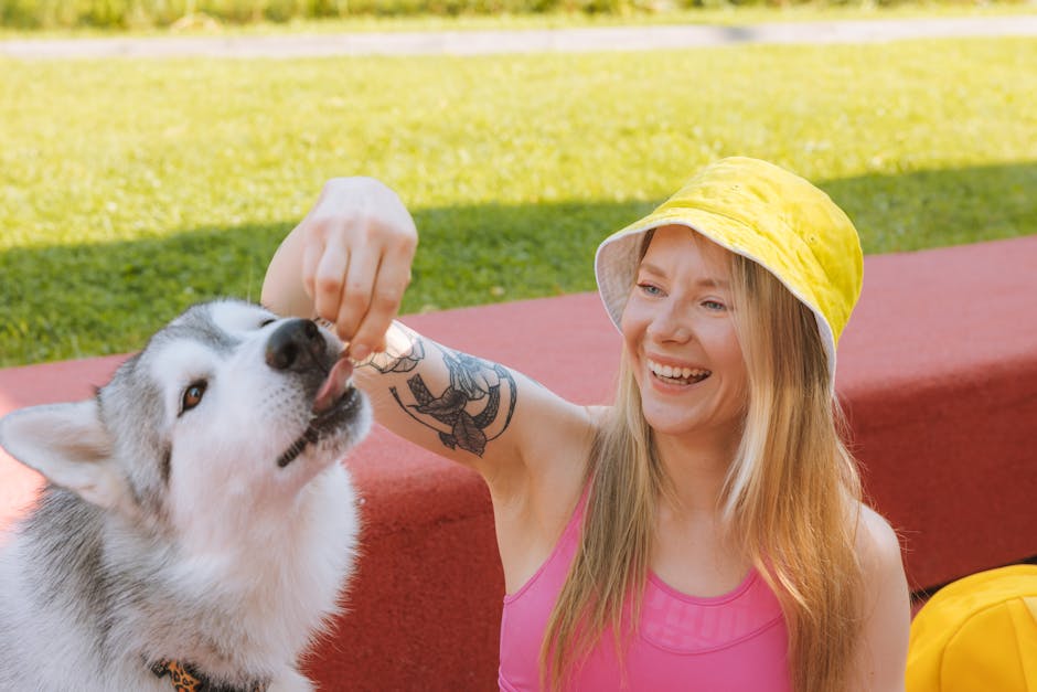 Woman in Yellow Hat Feeding Her Dog