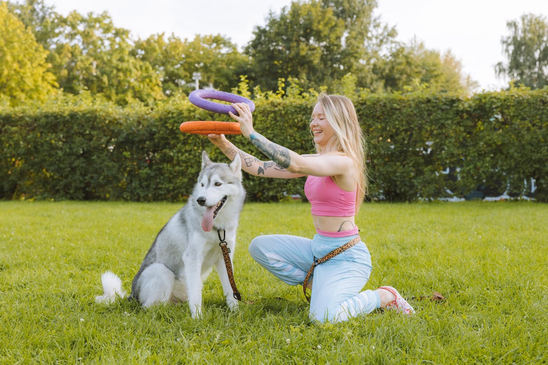 Dog playing and exercising to manage separation anxiety