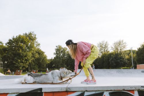 Free A young woman playfully bends over to interact with her Siberian Husky at an urban skatepark surrounded by trees. Stock Photo