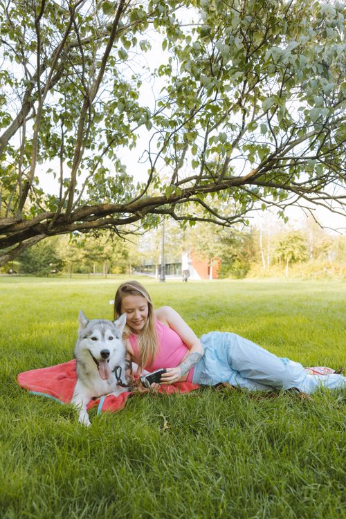 Free A woman lounges on the grass with her Siberian Husky under a tree in a sunny park. Stock Photo