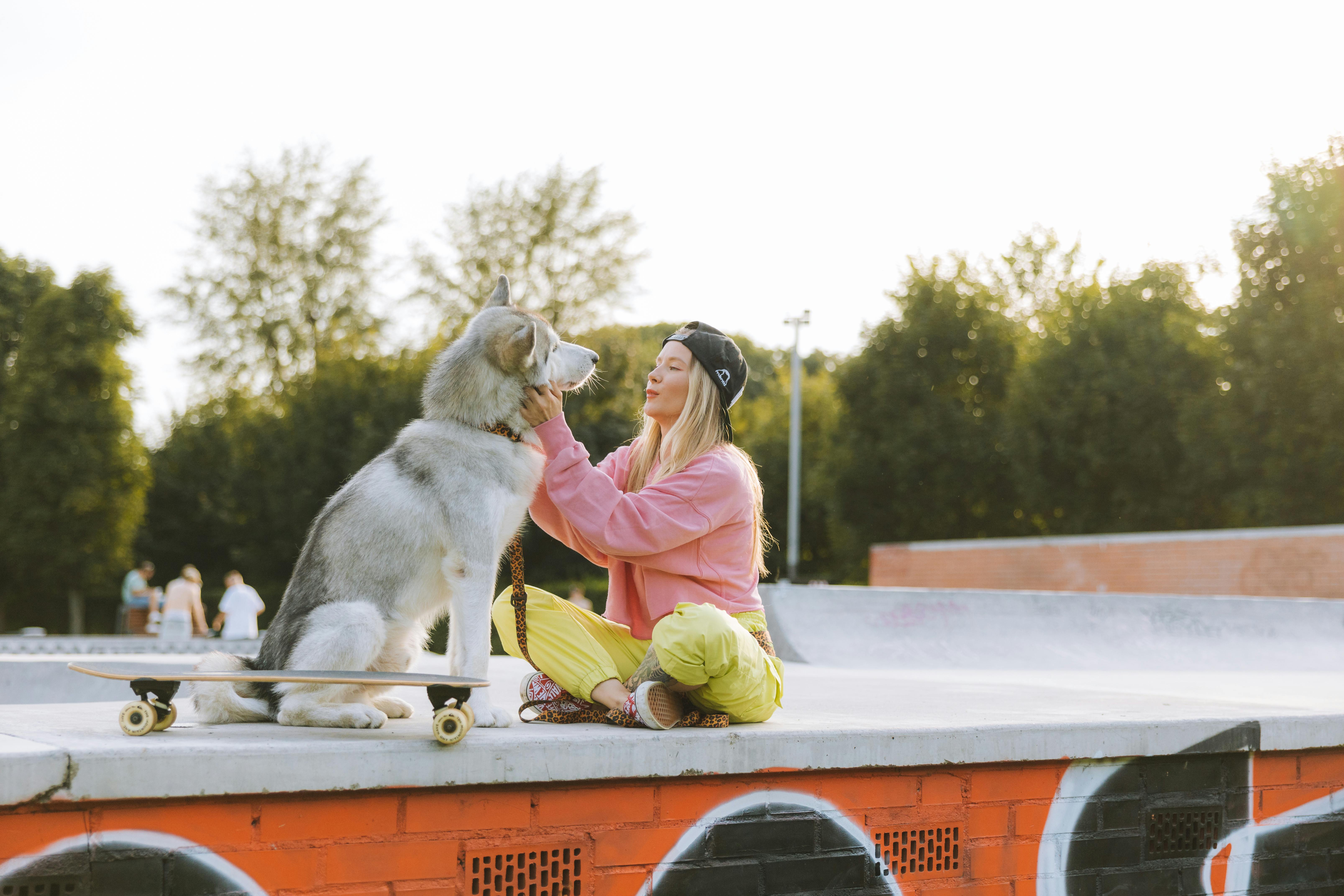 pet lifestyle store — Photo by Yaroslav Shuraev on Pexels
