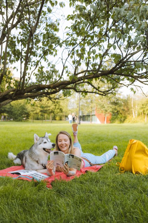 Free Woman reading a magazine with her Siberian husky outdoors on a picnic blanket under a tree. Stock Photo