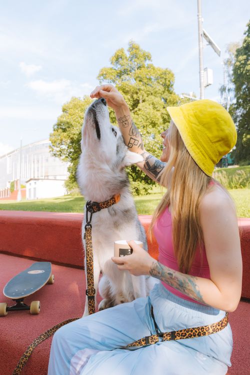 Free A woman with tattoos feeds her Siberian Husky dog in a sunny park, wearing a yellow bucket hat. Stock Photo
