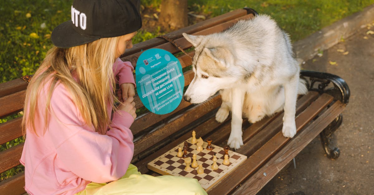 What does immortal mean in chess