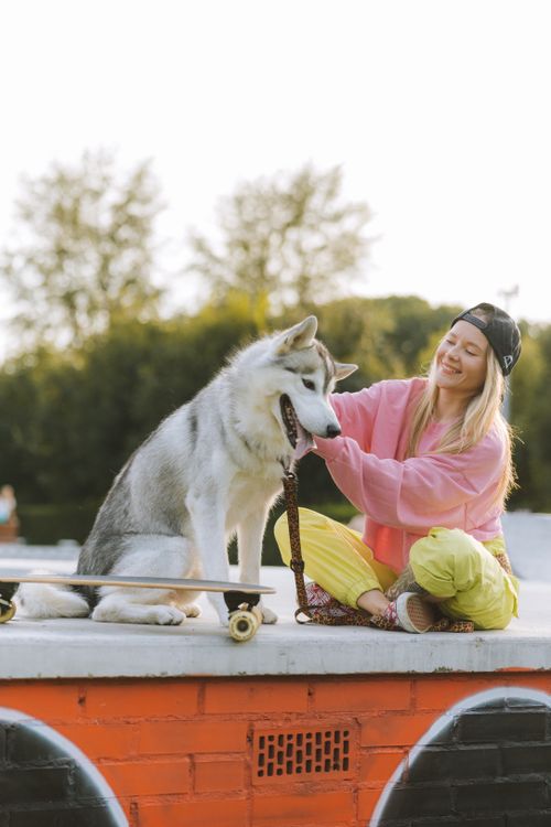 Free Blonde woman petting Siberian husky sitting on a skateboard in a sunny outdoor setting. Stock Photo