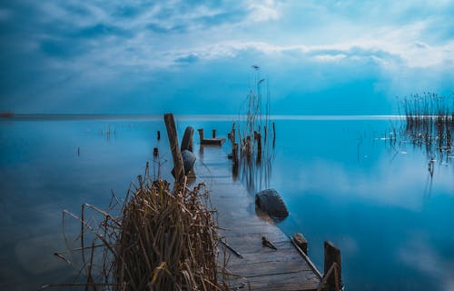 Brown Wooden Dock during Sunset