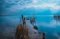 蔚蓝的天空下，芦苇环绕的质朴木码头，映衬着宁静的湖泊景观