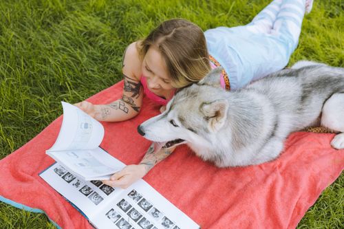 Free A woman lies on a picnic blanket reading with a Siberian husky beside her in a grassy field. Stock Photo