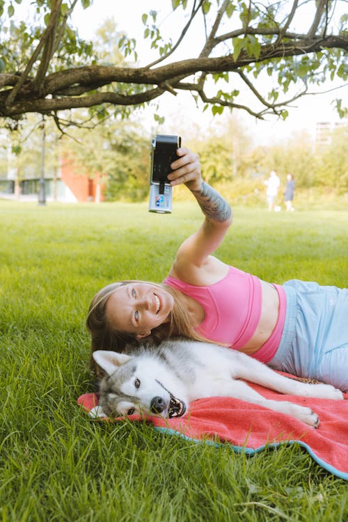 Δωρεάν στοκ φωτογραφιών με husky, selfie, βιντεοκάμερα