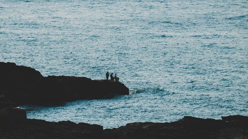Free Silhouette of individuals on a rocky coast against vast ocean backdrop. Stock Photo