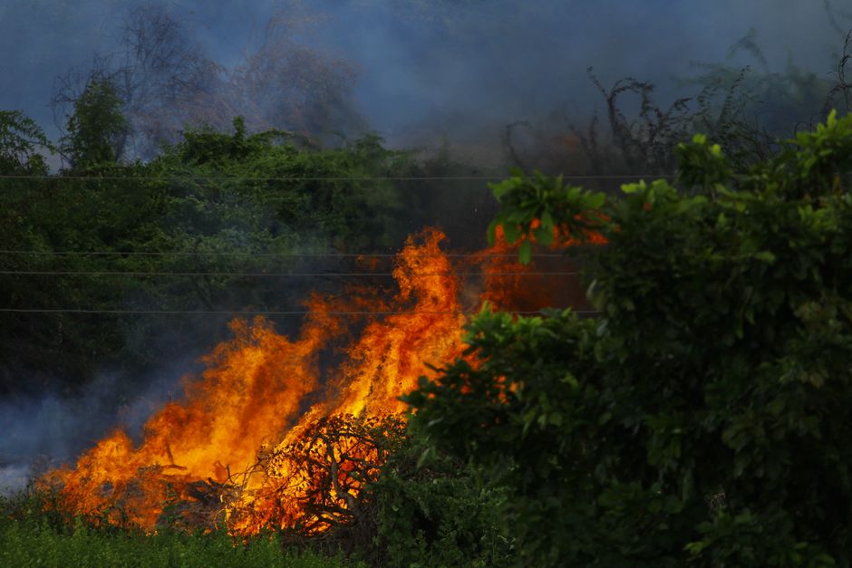 Indonesia Faces Early Wildfire Surge Amid Threat of ‘Godzilla’ El Niño in 2026