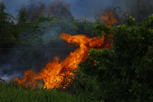 Kostnadsfria Kostnadsfri bild av brand, brinnande, flamma Stock foto