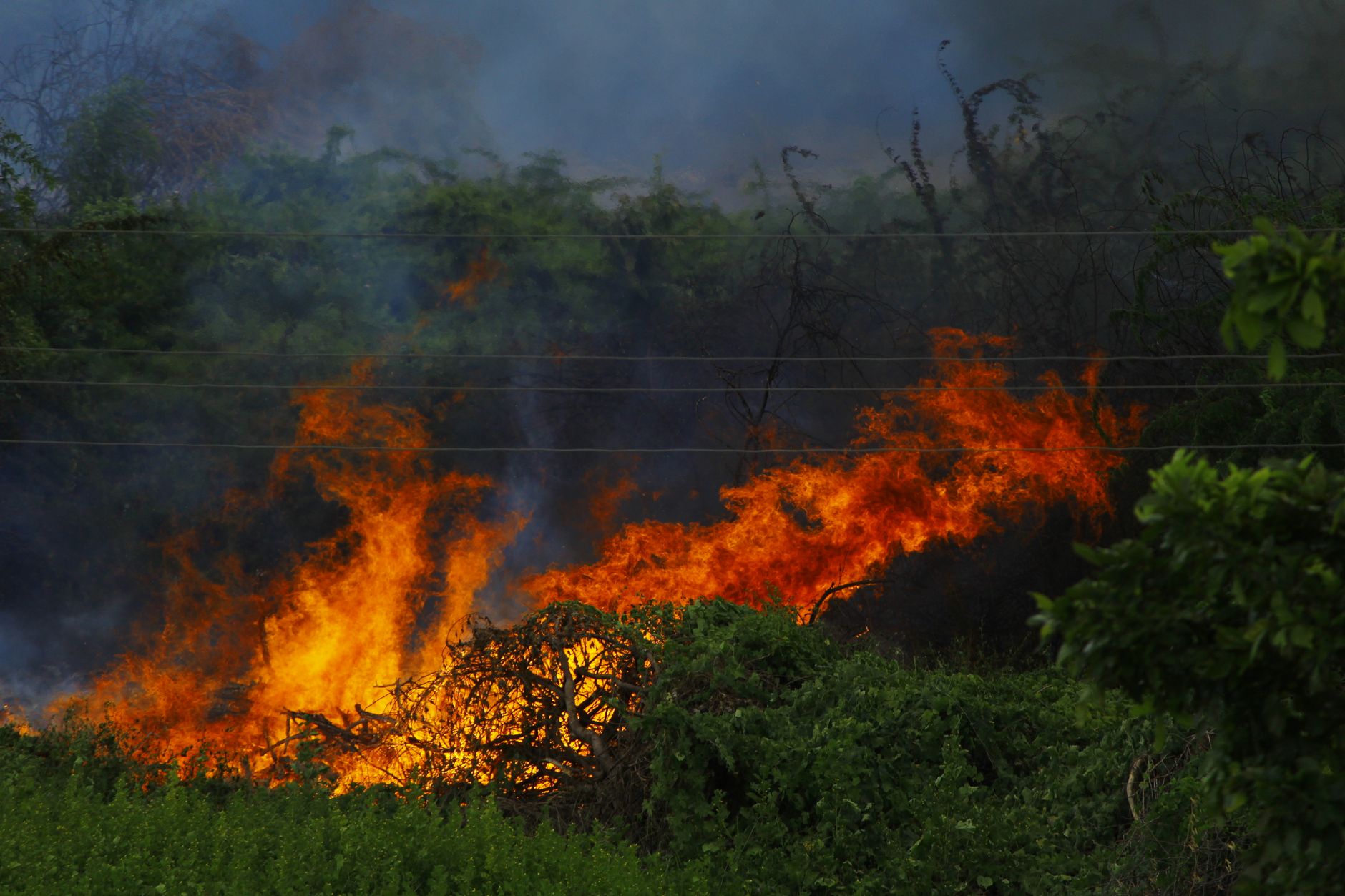 Wildfires Impacting Greece, France, and Spain - Emergency Response Ongoing