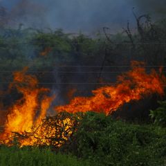 Brush fire near Thessaloniki: Unconscious woman found and hospitalized