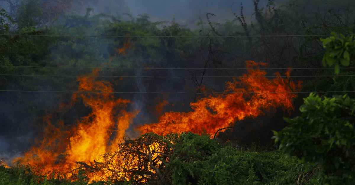 Photo by Saravanan Narayanan Intense wildfire with flames and smoke consuming forest vegetation.