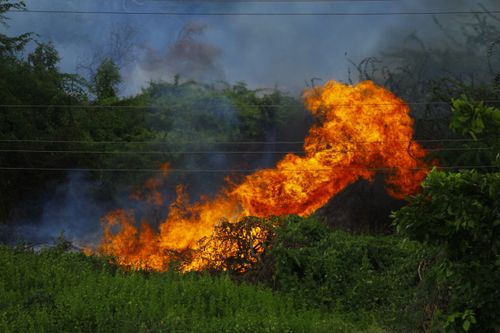 Free Dramatic image of a forest fire with intense flames and smoke outdoors. Stock Photo