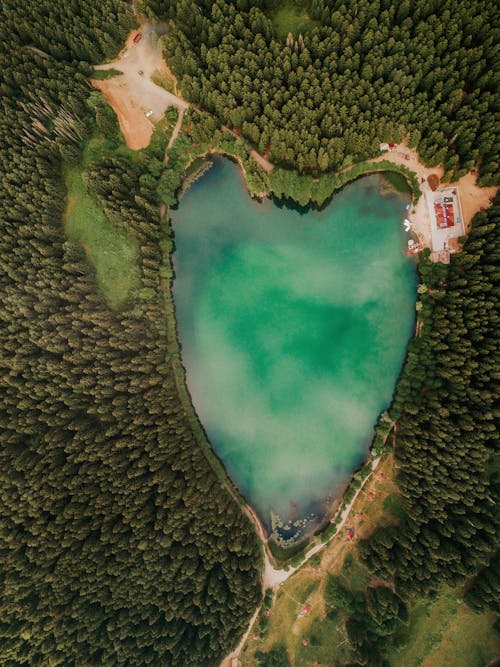 Aerial view of forest and hear shaped lake 