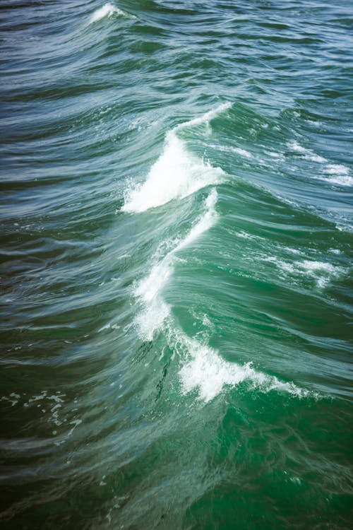 Základová fotografie zdarma na téma mávání, moře, oceán