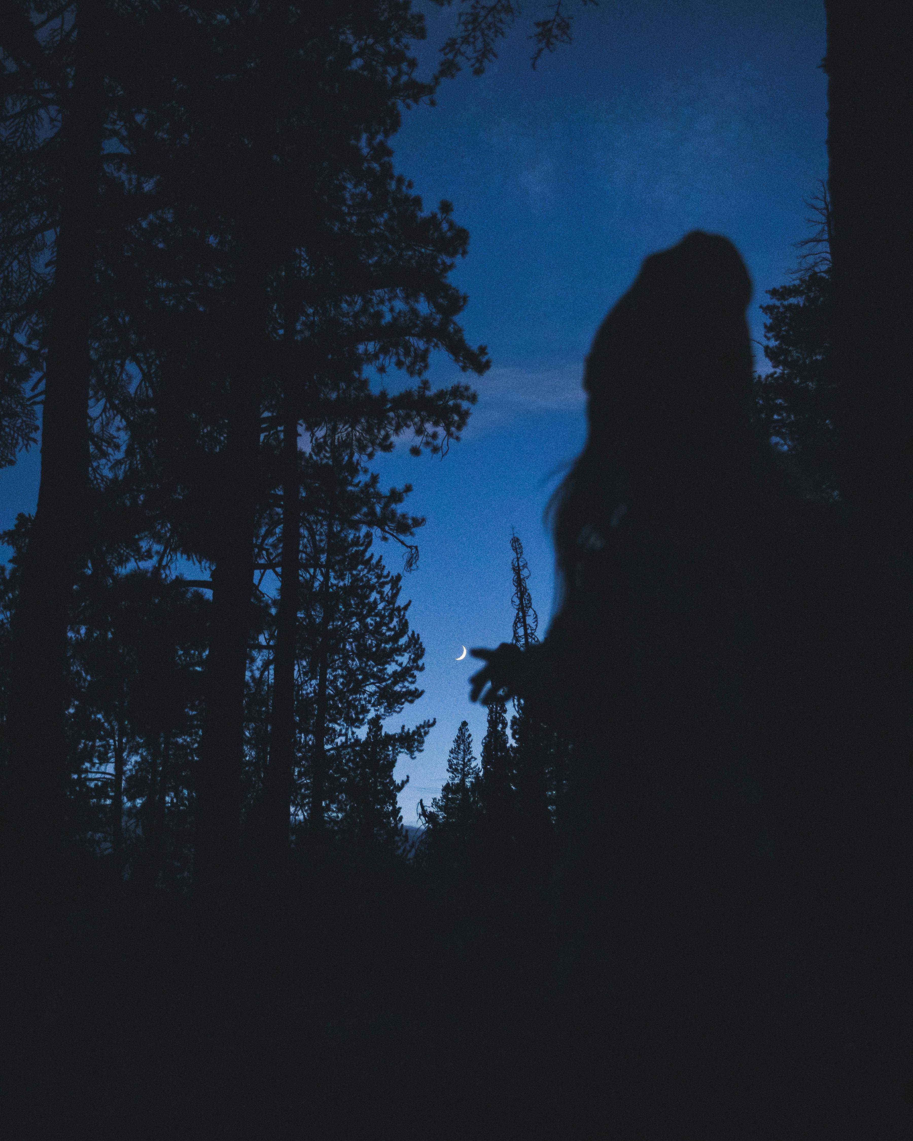 Eerie silhouette of a person in a forest beneath a crescent moon at twilight.