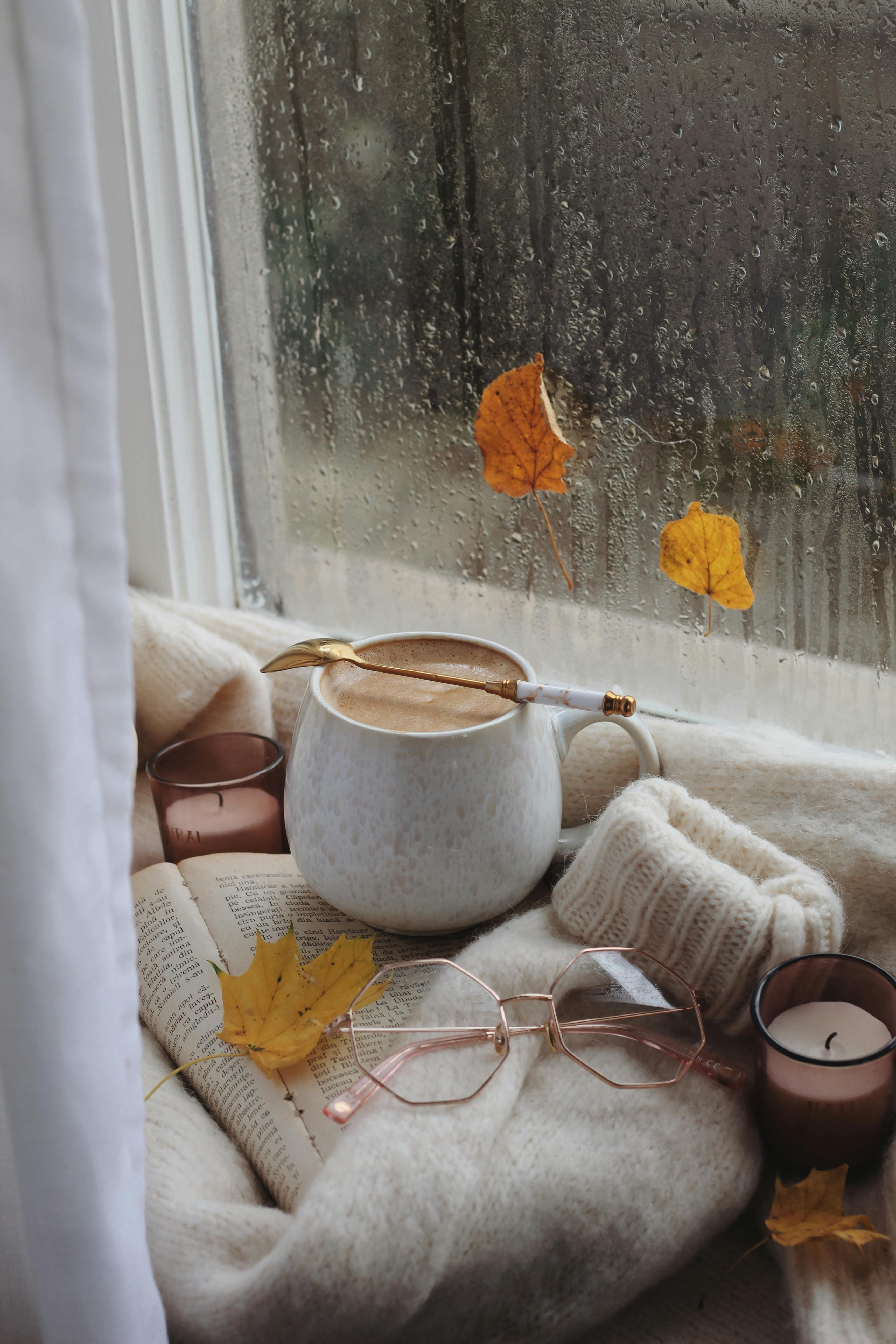 coffee glasses and sweater on book in autumn scene