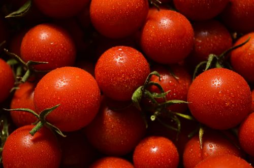 Free A vibrant close-up of fresh and juicy cherry tomatoes with water droplets, showcasing their ripe and healthy appearance. Stock Photo