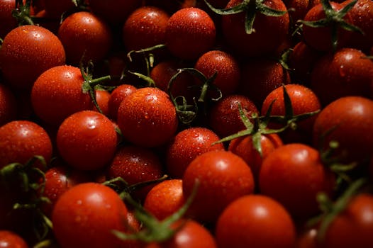 A vibrant close-up image of fresh red cherry tomatoes with water droplets, highlighting their juiciness.
