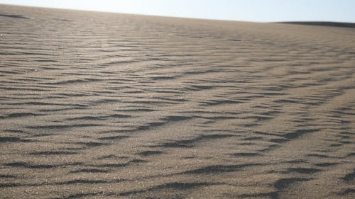 Free stock photo of beach sand, dessert