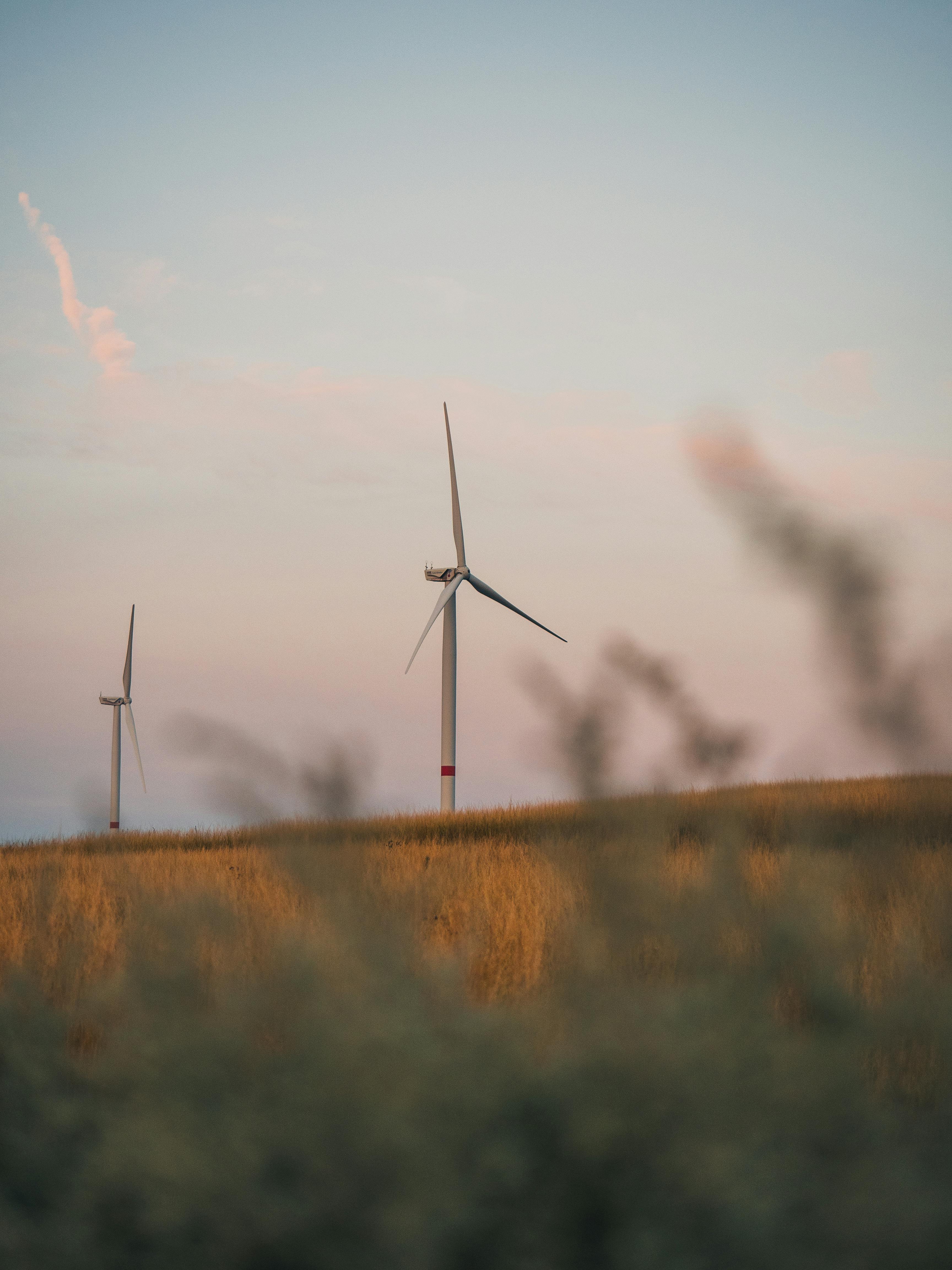 Wind turbines in a grassy field under a pastel sky, promoting renewable energy.