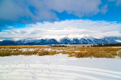 Snow Covered Field Under Blue Sky