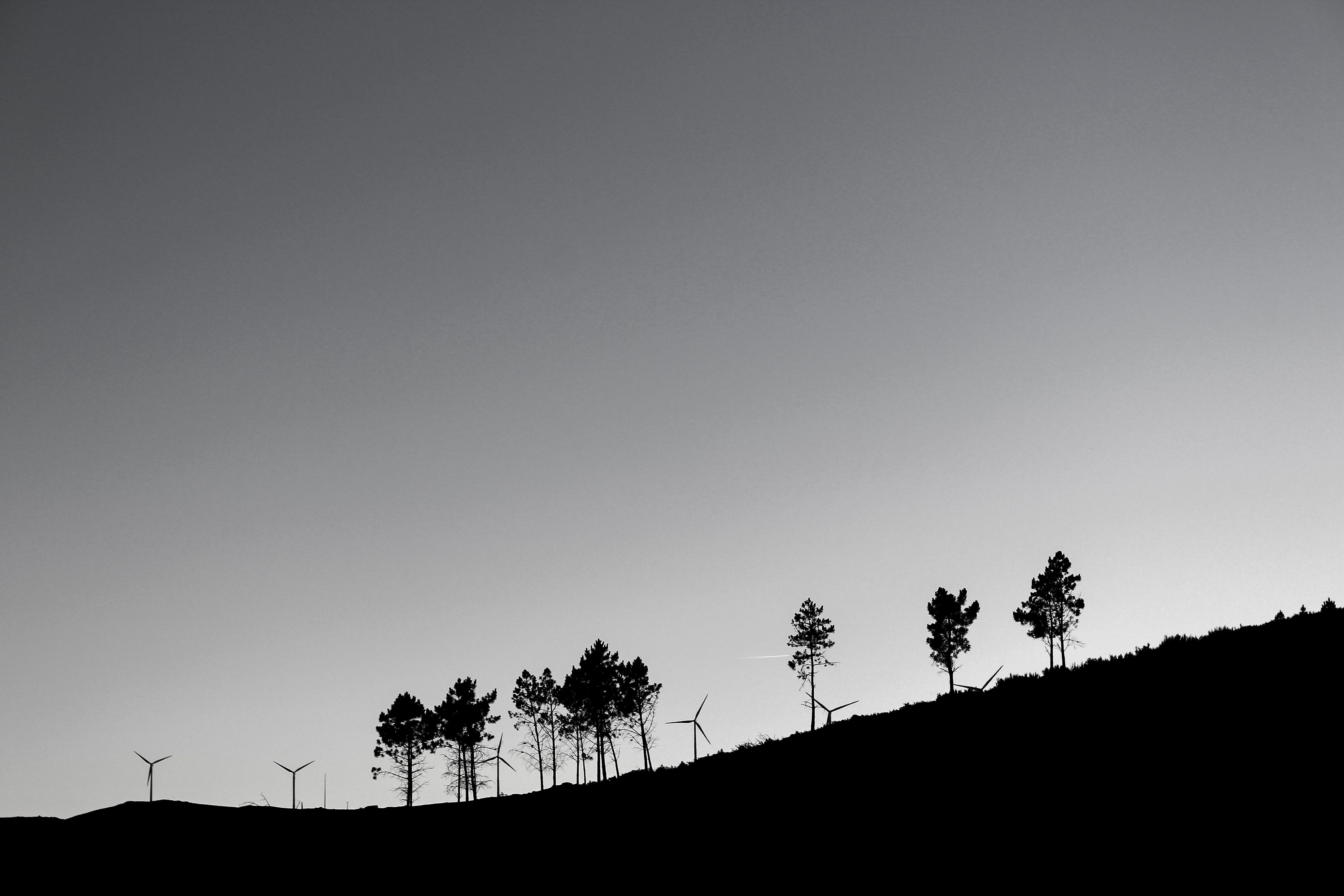 There is nothing new about renewable energy: Tracing the life of solar panels — Photo by Cláudio Marques on Pexels