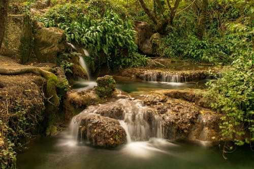 Free Water Falls in the Middle of Green Trees Stock Photo