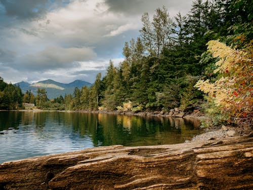 Foto profissional grátis de confiança, descansar, lago