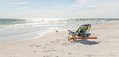 A Beach Chair on a Shore with Birds