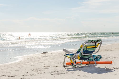 A Beach Chair on a Shore Near a Bird

