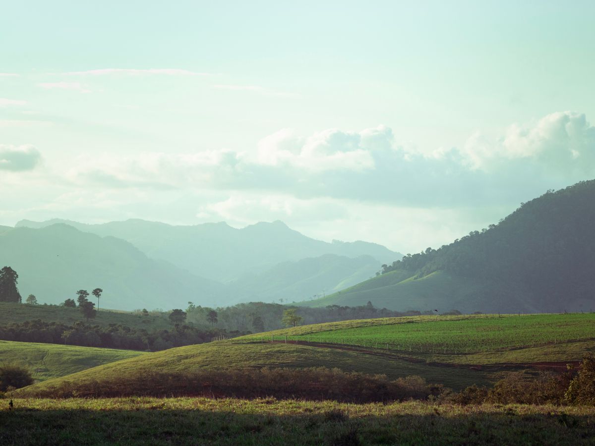 3 Day Rest & Wellness: A Women's Retreat in Puerto Rico 3